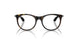7500 - Tortoise - Clear