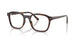 2012 - Tortoise