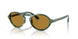 616453 - Green - Brown