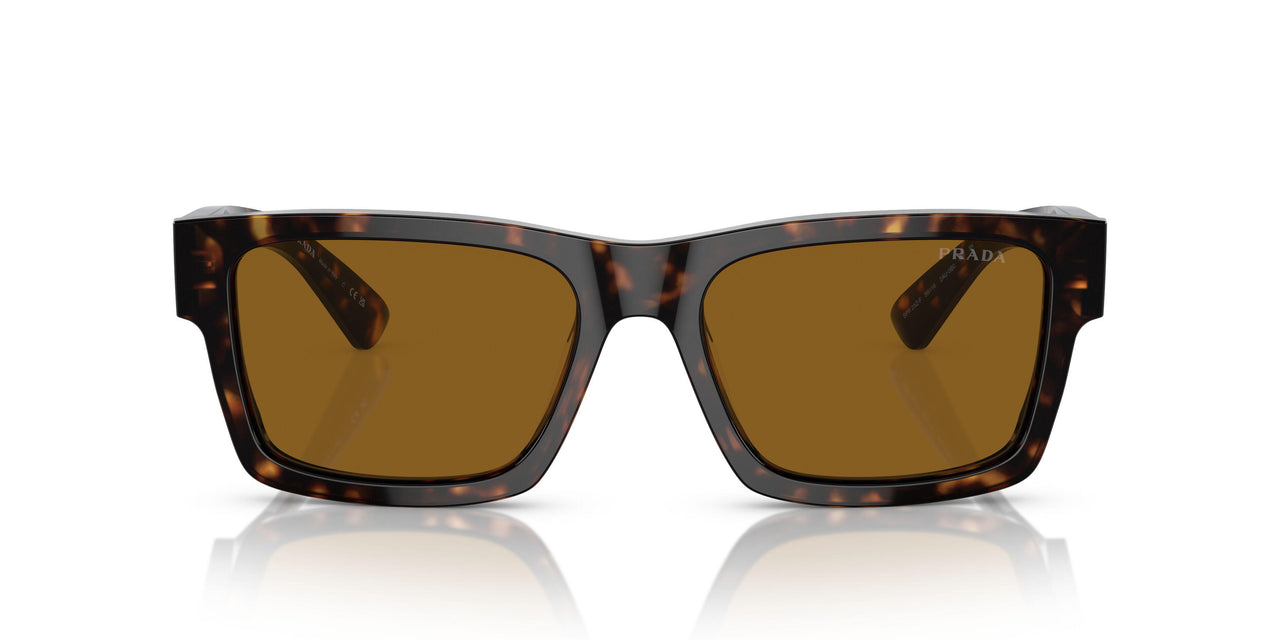 2AU0B0 - Tortoise - Brown