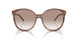 307113 - Light Brown - Clear Gradient Brown