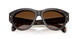 300213 - Tortoise - Brown Gradient