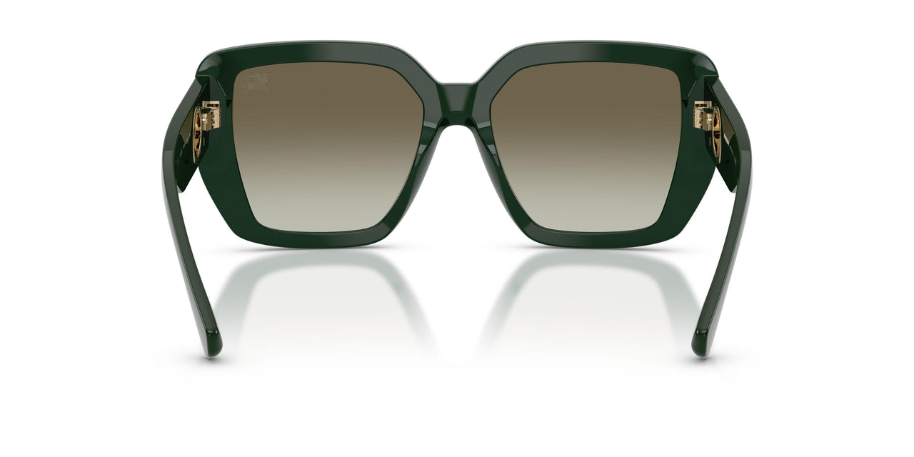 42038E - Green - Green Gradient