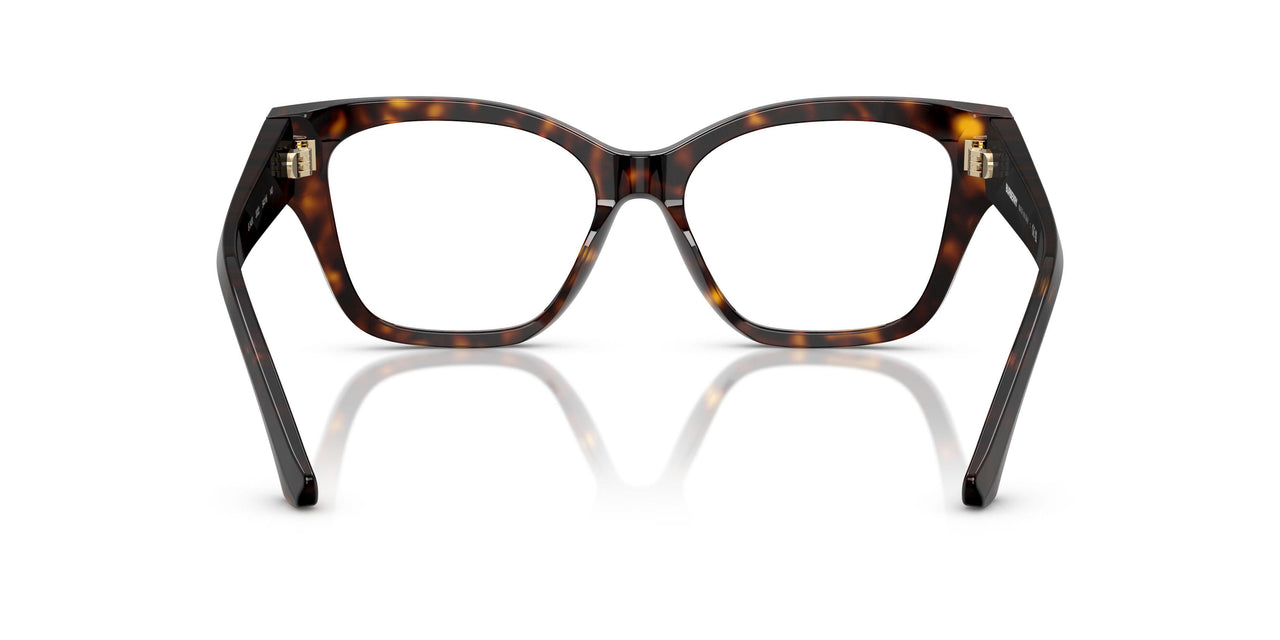 3002 - Brown
