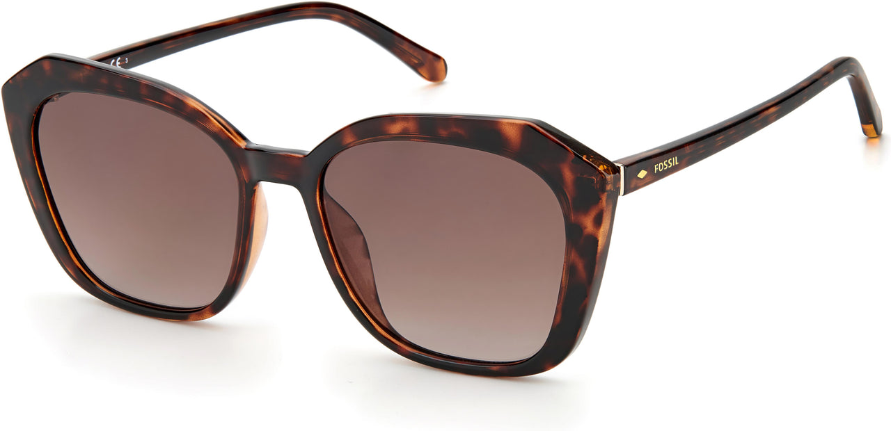0086-HA - Havana - Brown Gradient