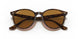 710/83 - Havana - Polar Brown