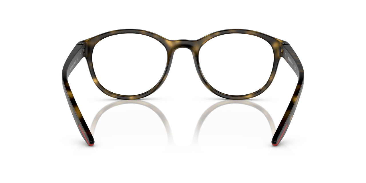 5811O1 - Tortoise