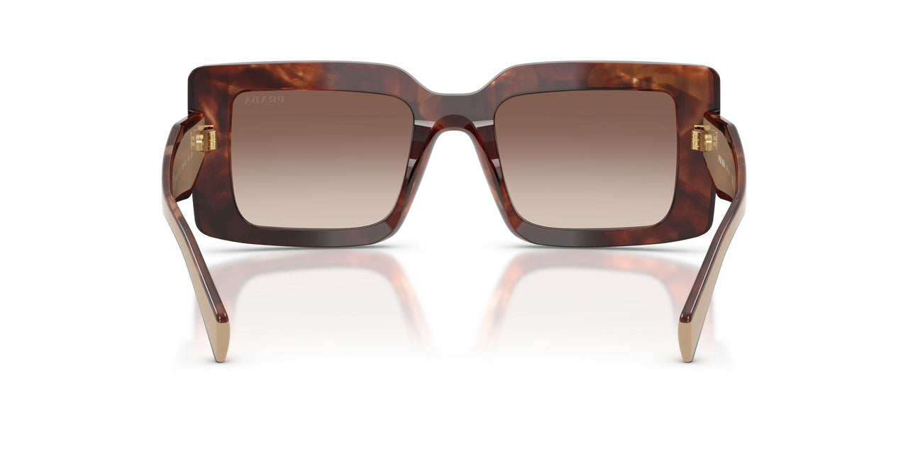 00K10S - Tortoise - Brown Gradient