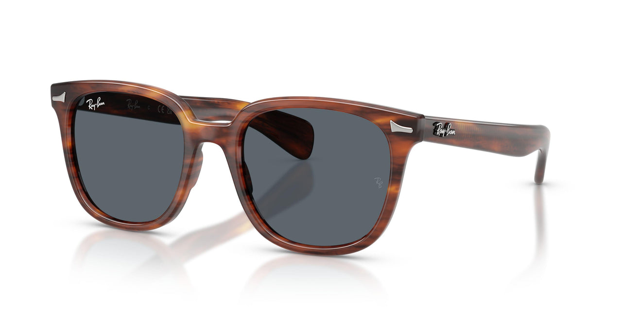 954/R5 - Brown - Blue