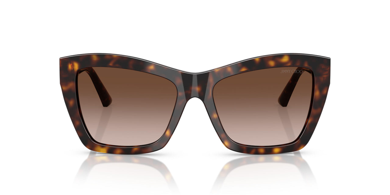 500213 - Tortoise - Gradient Brown