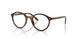 3685 - Tortoise - Clear