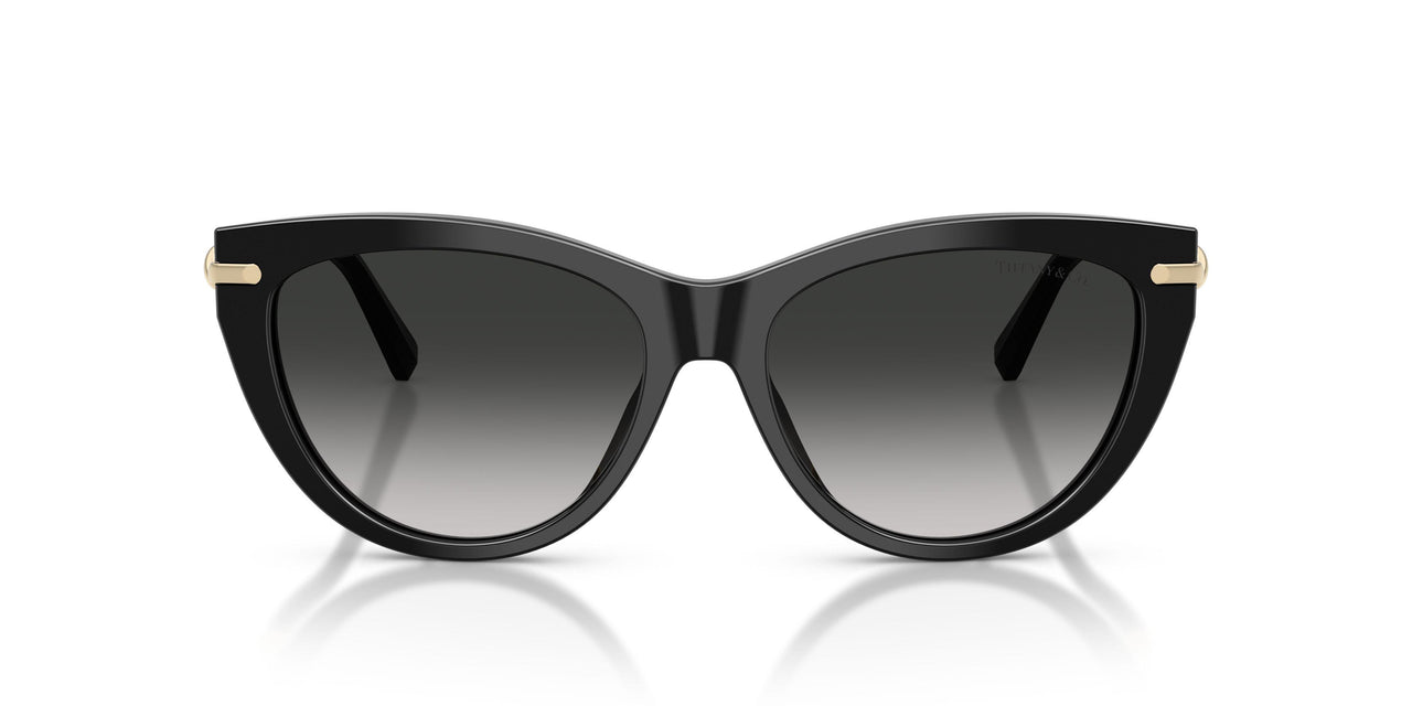 80013C - Black - Grey Gradient