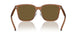 663673 - Brown - Dark Brown