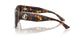 500213 - Tortoise - Gradient Brown