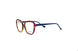 10 - DEMI BROWN& BLUE TEMPLES