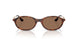 W65673 - Brown - Dark Brown
