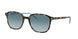 Ray-Ban Leonard 2193 Sunglasses
