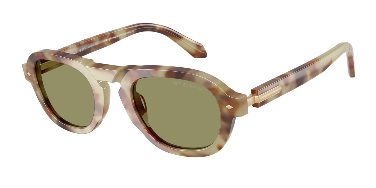 Giorgio Armani 8244 Sunglasses
