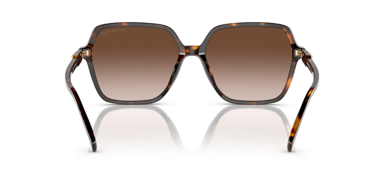 300613 - Tortoise - Brown Gradient