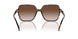 300613 - Tortoise - Brown Gradient