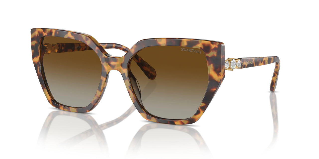 1004T5 - Tortoise - Brown Gradient