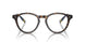 5003 - Brown