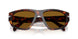 24/33 - Tortoise - Brown