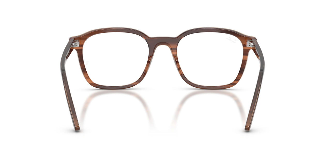 8455 - Tortoise