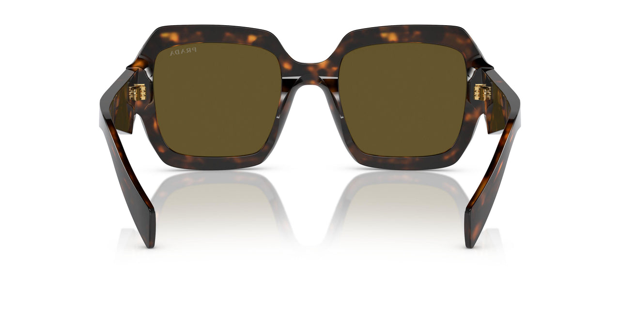 14L09Z - Green - Dark Brown