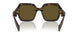 14L09Z - Green - Dark Brown
