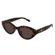 002 - Havana - Brown
