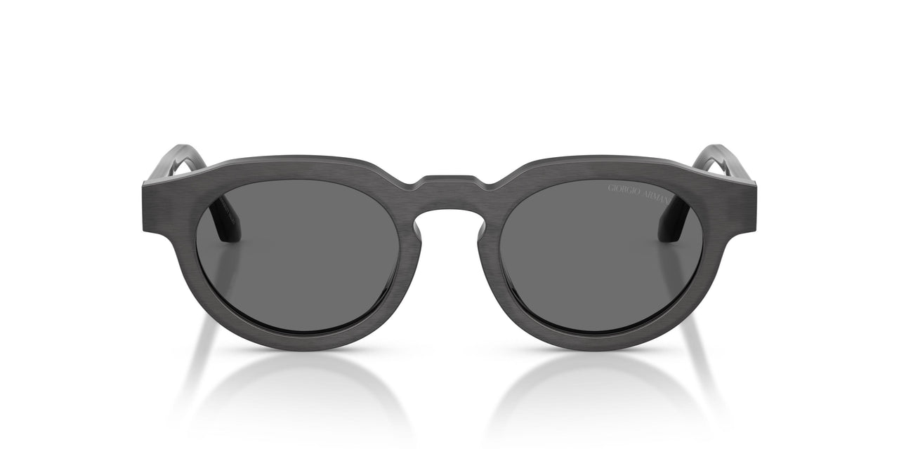 639587 - Tortoise - Grey