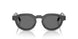 639587 - Tortoise - Grey