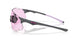 951304 - Grey - Prizm Low Light