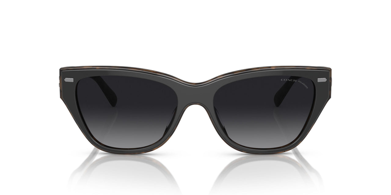 5764T3 - Black - Grey Gradient Polar