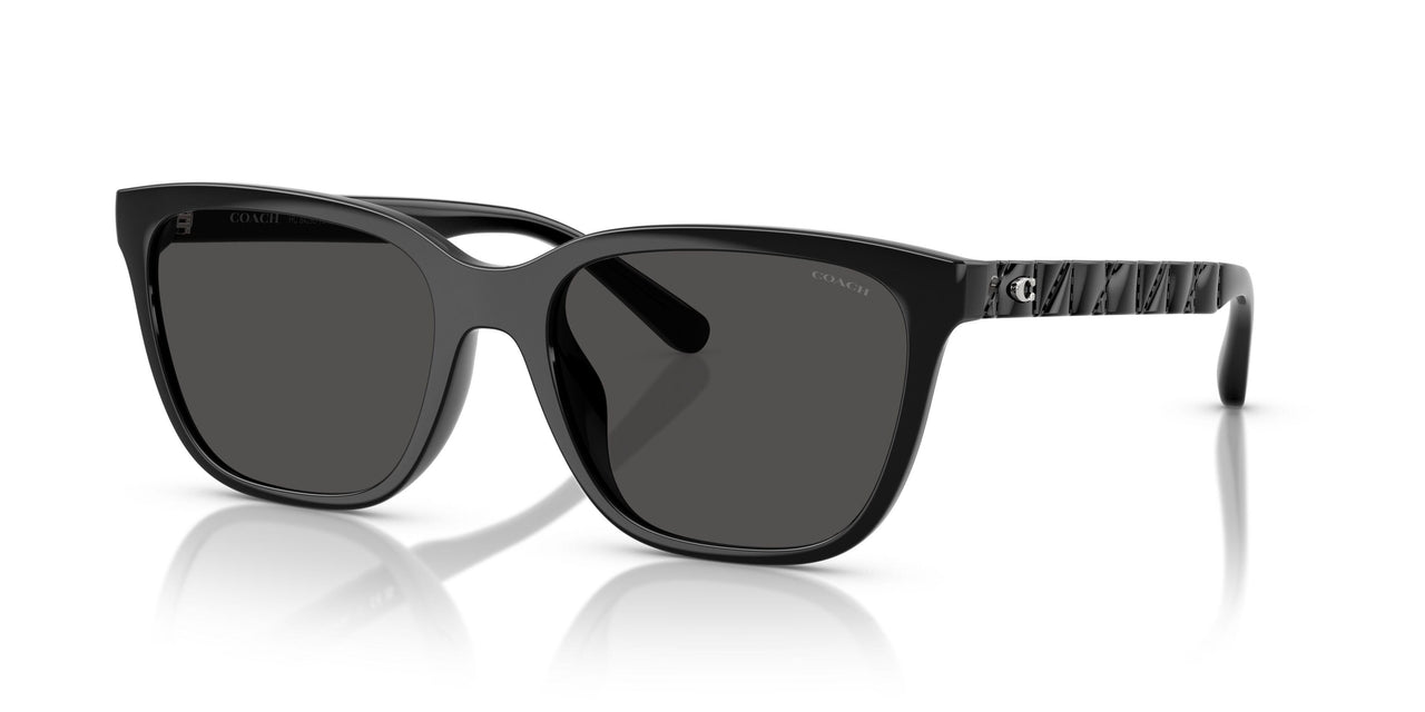 500287 - Black - Grey Solid
