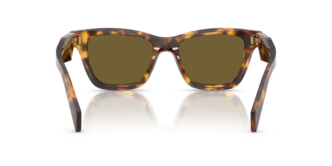 14L09Z - Tortoise - Dark Brown