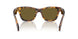 14L09Z - Tortoise - Dark Brown
