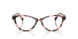 6058 - Tortoise