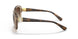 299013 - Light Brown - Brown Gradient