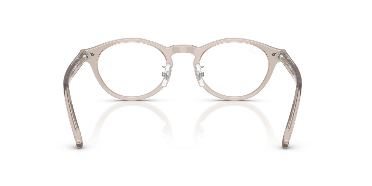 8449 - Brown - Demo Bio