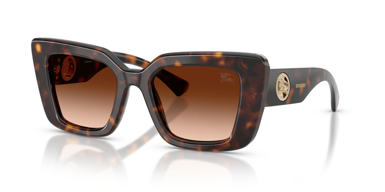 300274 - Brown - Brown Gradient
