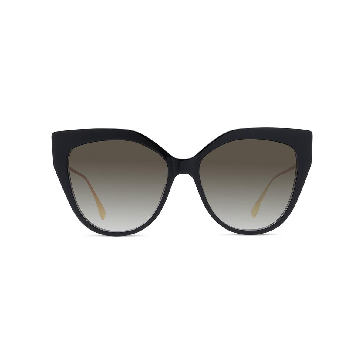 01F - Shiny Black - Brown