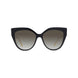 01F - Shiny Black - Brown