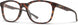 102791N9P5418 - Matte Tortoise