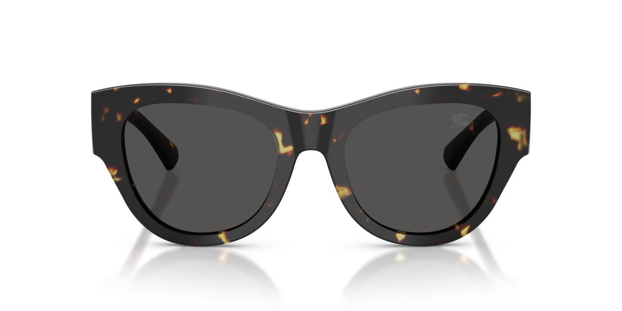 410687 - Tortoise - Dark Grey