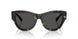 410687 - Tortoise - Dark Grey