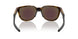 925004 - Tortoise - Prizm Sapphire Polarized