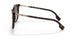 300213 - Havana - Brown Gradient