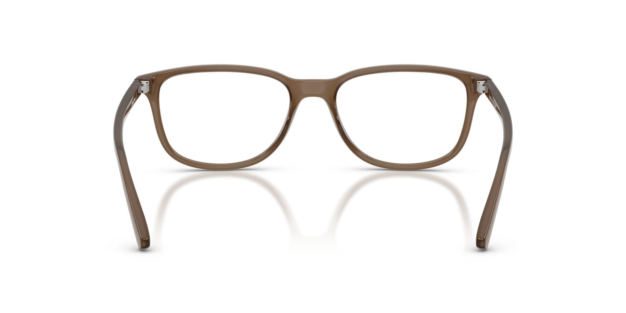 2997 - Brown
